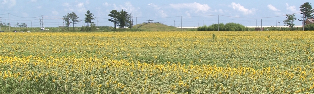 ニュース・報道